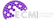 Logo ECM